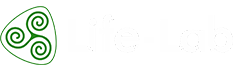 Статьи | Веб-студия Life-Lab сайты «под ключ» / Life-Lab - студия по созданию сайтов в Ростове
